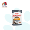 sachê alimento úmido benefício ara pele de gatos Royal canin